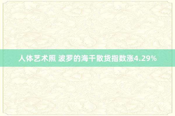 人体艺术照 波罗的海干散货指数涨4.29%