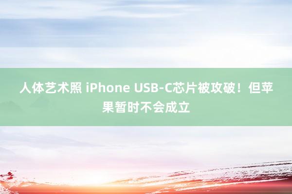 人体艺术照 iPhone USB-C芯片被攻破！但苹果暂时不会成立