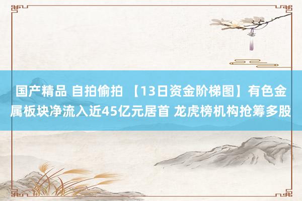 国产精品 自拍偷拍 【13日资金阶梯图】有色金属板块净流入近45亿元居首 龙虎榜机构抢筹多股