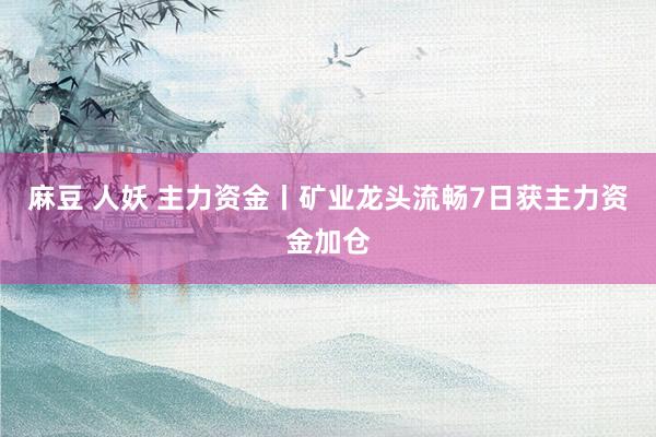 麻豆 人妖 主力资金丨矿业龙头流畅7日获主力资金加仓