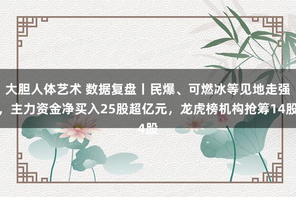 大胆人体艺术 数据复盘丨民爆、可燃冰等见地走强，主力资金净买入25股超亿元，龙虎榜机构抢筹14股