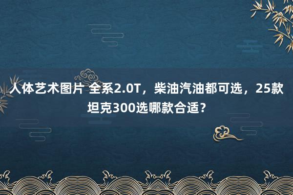 人体艺术图片 全系2.0T，柴油汽油都可选，25款坦克300选哪款合适？