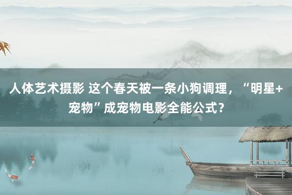 人体艺术摄影 这个春天被一条小狗调理，“明星+宠物”成宠物电影全能公式？