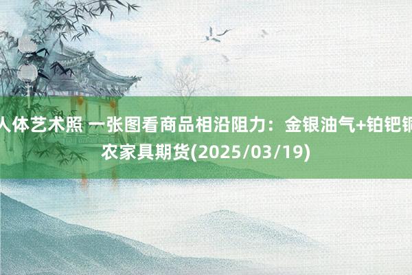 人体艺术照 一张图看商品相沿阻力：金银油气+铂钯铜农家具期货(2025/03/19)