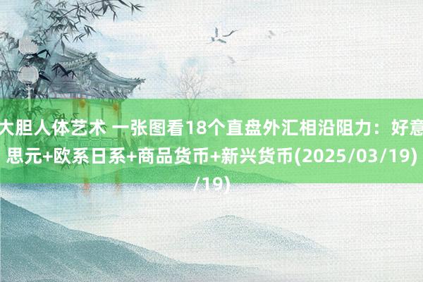 大胆人体艺术 一张图看18个直盘外汇相沿阻力：好意思元+欧系日系+商品货币+新兴货币(2025/03/19)