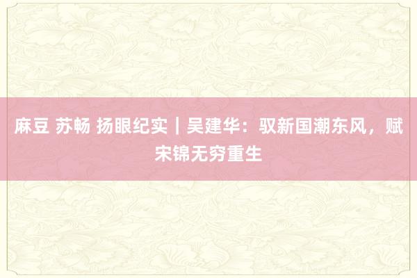 麻豆 苏畅 扬眼纪实｜吴建华：驭新国潮东风，赋宋锦无穷重生