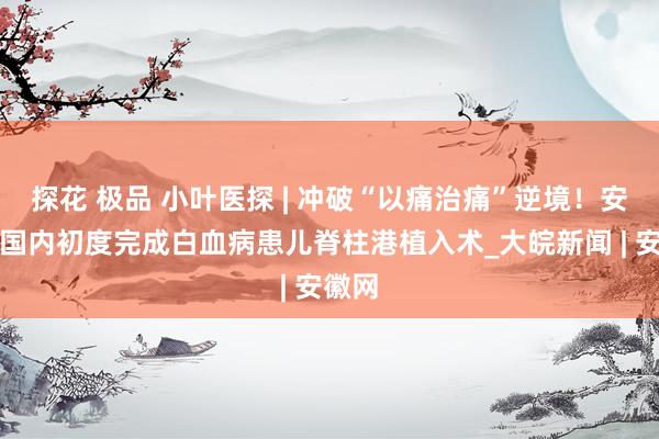 探花 极品 小叶医探 | 冲破“以痛治痛”逆境！安徽在国内初度完成白血病患儿脊柱港植入术_大皖新闻 | 安徽网