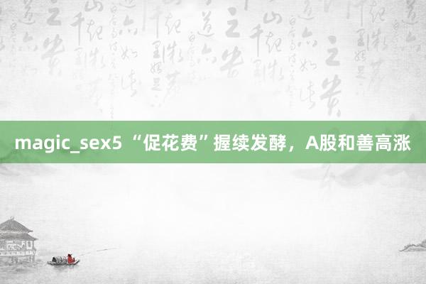 magic_sex5 “促花费”握续发酵，A股和善高涨