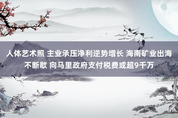 人体艺术照 主业承压净利逆势增长 海南矿业出海不断歇 向马里政府支付税费或超9千万
