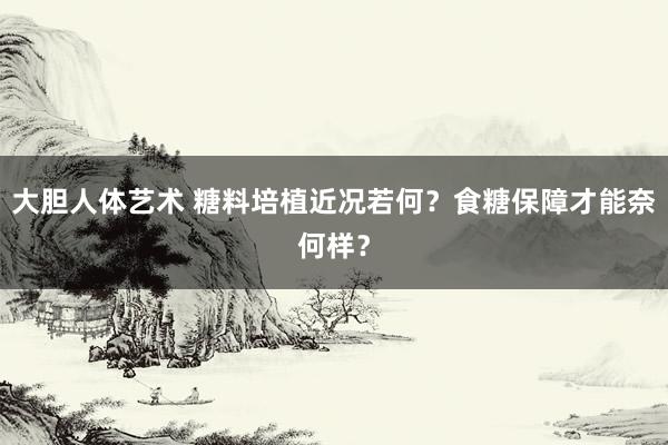 大胆人体艺术 糖料培植近况若何？食糖保障才能奈何样？