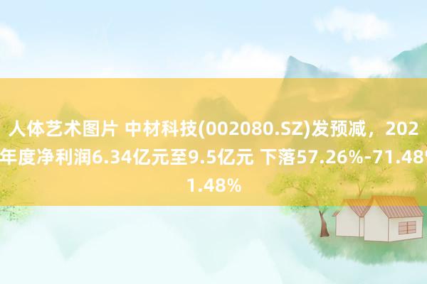 人体艺术图片 中材科技(002080.SZ)发预减，2024年度净利润6.34亿元至9.5亿元 下落57.26%-71.48%