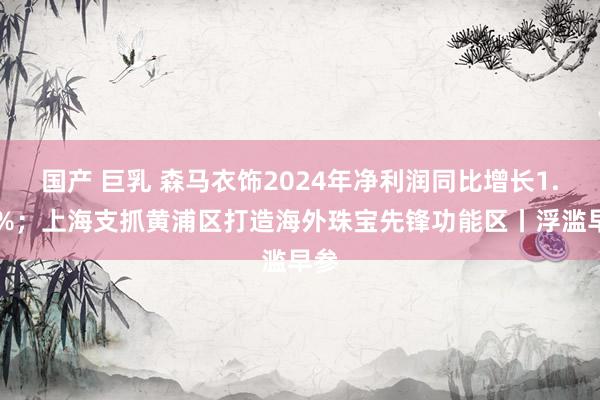 国产 巨乳 森马衣饰2024年净利润同比增长1.42%；上海支抓黄浦区打造海外珠宝先锋功能区丨浮滥早参