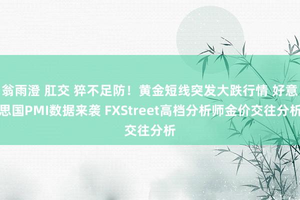 翁雨澄 肛交 猝不足防！黄金短线突发大跌行情 好意思国PMI数据来袭 FXStreet高档分析师金价交往分析