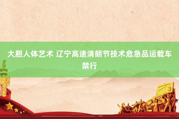 大胆人体艺术 辽宁高速清朗节技术危急品运载车禁行