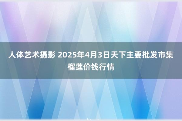 人体艺术摄影 2025年4月3日天下主要批发市集榴莲价钱行情