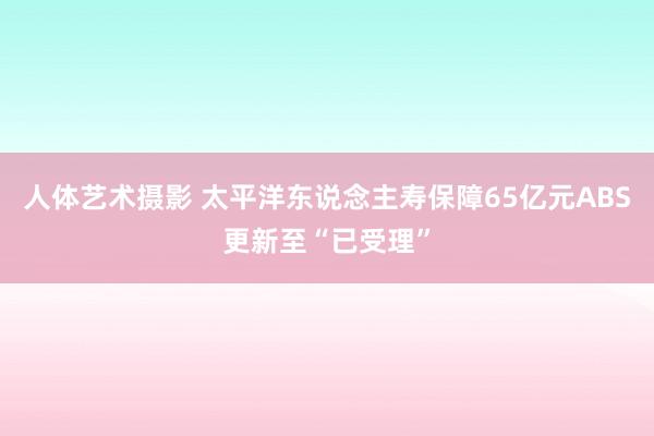 人体艺术摄影 太平洋东说念主寿保障65亿元ABS更新至“已受理”