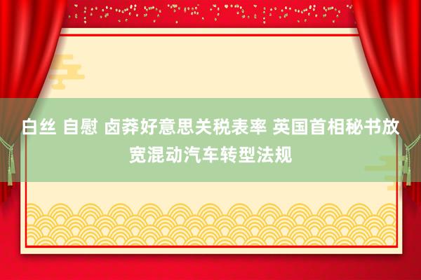 白丝 自慰 卤莽好意思关税表率 英国首相秘书放宽混动汽车转型法规