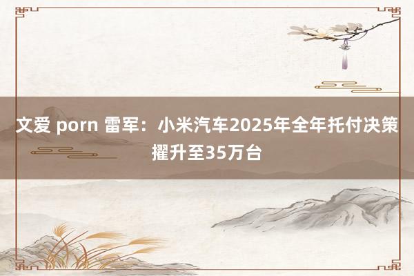 文爱 porn 雷军：小米汽车2025年全年托付决策擢升至35万台
