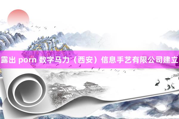 露出 porn 数字马力（西安）信息手艺有限公司建立