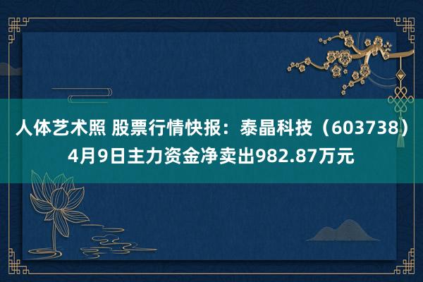 人体艺术照 股票行情快报：泰晶科技（603738）4月9日主力资金净卖出982.87万元