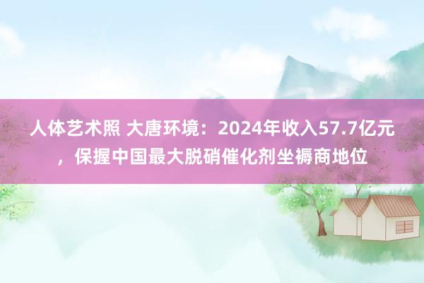 人体艺术照 大唐环境：2024年收入57.7亿元，保握中国最大脱硝催化剂坐褥商地位