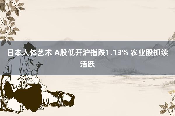 日本人体艺术 A股低开沪指跌1.13% 农业股抓续活跃