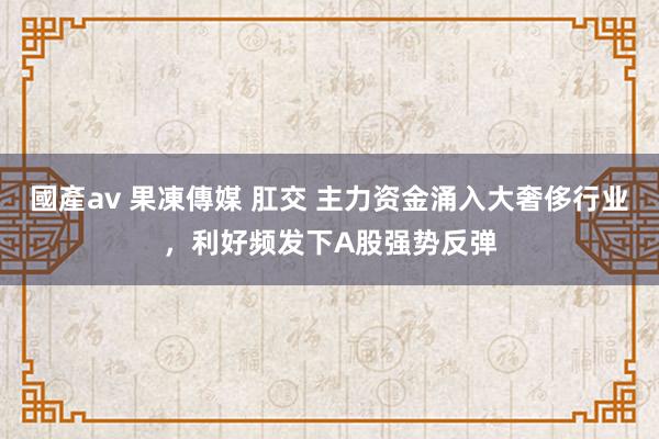 國產av 果凍傳媒 肛交 主力资金涌入大奢侈行业，利好频发下A股强势反弹