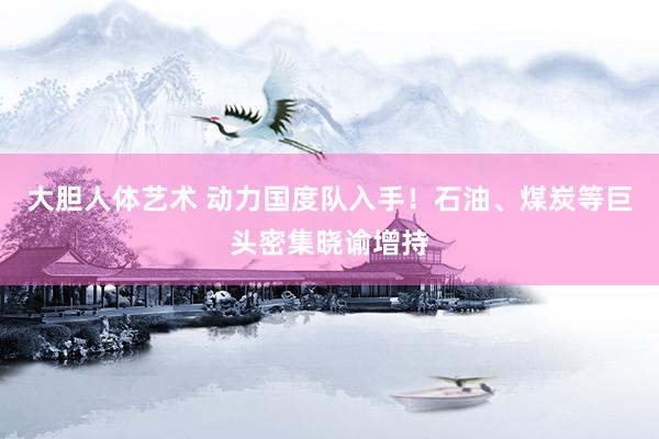 大胆人体艺术 动力国度队入手！石油、煤炭等巨头密集晓谕增持