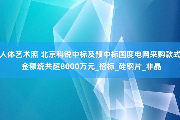 人体艺术照 北京科锐中标及预中标国度电网采购款式 金额统共超8000万元_招标_硅钢片_非晶