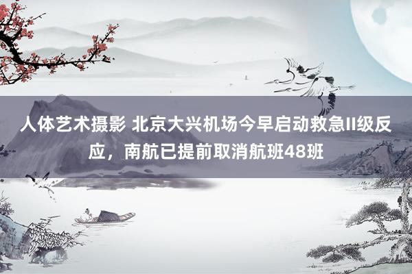 人体艺术摄影 北京大兴机场今早启动救急II级反应，南航已提前取消航班48班