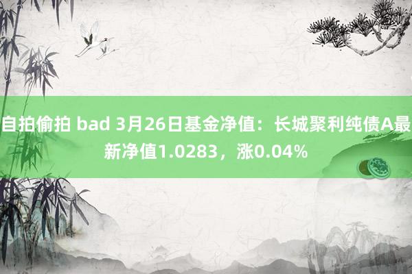 自拍偷拍 bad 3月26日基金净值：长城聚利纯债A最新净值1.0283，涨0.04%