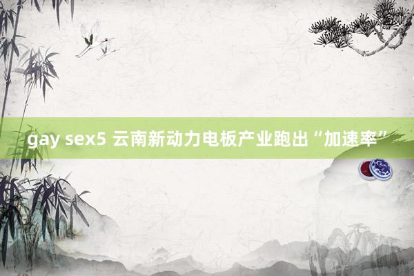 gay sex5 云南新动力电板产业跑出“加速率”