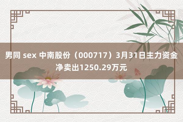男同 sex 中南股份（000717）3月31日主力资金净卖出1250.29万元
