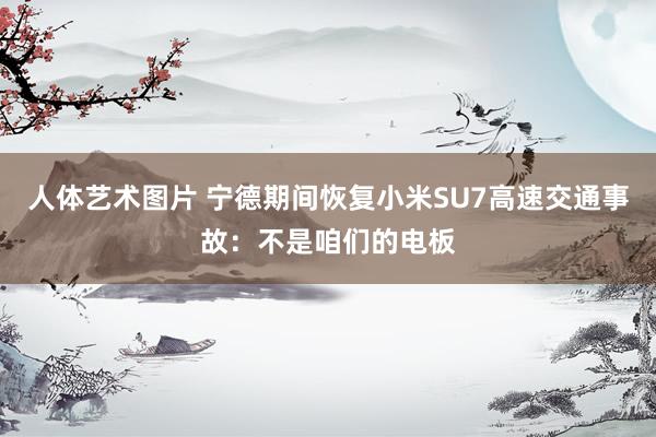 人体艺术图片 宁德期间恢复小米SU7高速交通事故：不是咱们的电板