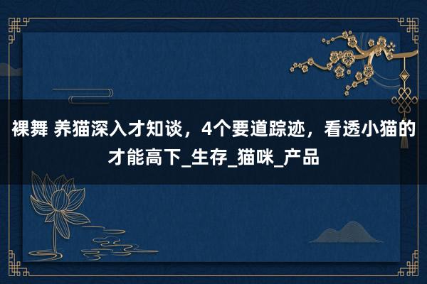 裸舞 养猫深入才知谈，4个要道踪迹，看透小猫的才能高下_生存_猫咪_产品