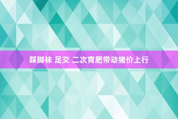 踩脚袜 足交 二次育肥带动猪价上行