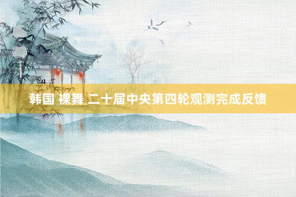 韩国 裸舞 二十届中央第四轮观测完成反馈