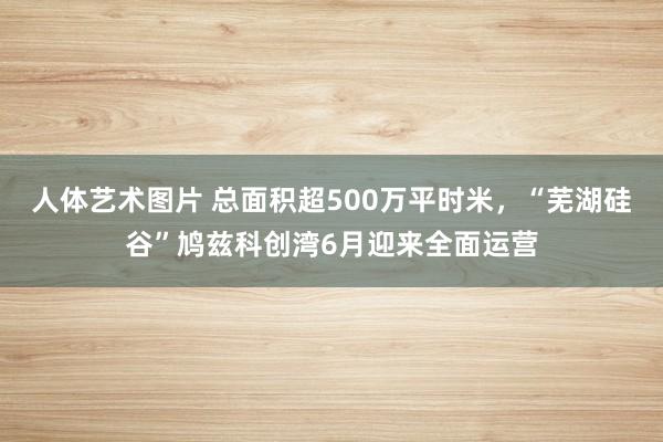 人体艺术图片 总面积超500万平时米，“芜湖硅谷”鸠兹科创湾6月迎来全面运营