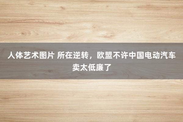 人体艺术图片 所在逆转，欧盟不许中国电动汽车卖太低廉了