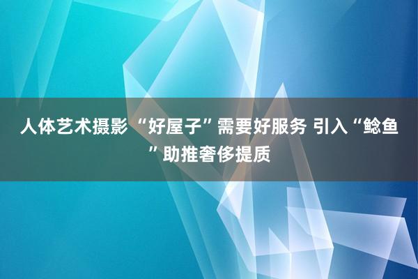 人体艺术摄影 “好屋子”需要好服务 引入“鲶鱼”助推奢侈提质