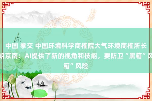 中国 拳交 中国环境科学商榷院大气环境商榷所长处胡京南：AI提供了新的视角和技能，要防卫“黑箱”风险