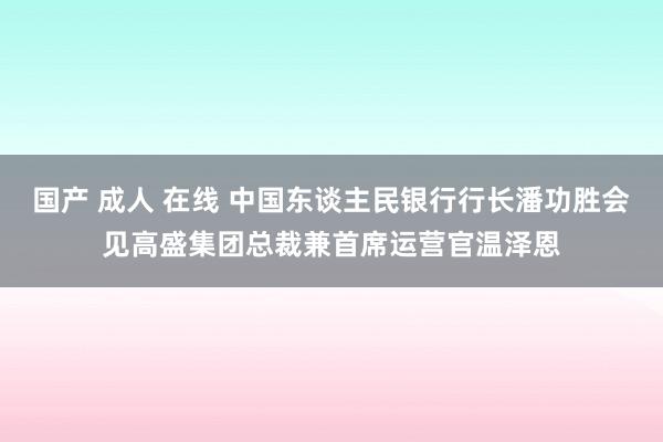 国产 成人 在线 中国东谈主民银行行长潘功胜会见高盛集团总裁兼首席运营官温泽恩
