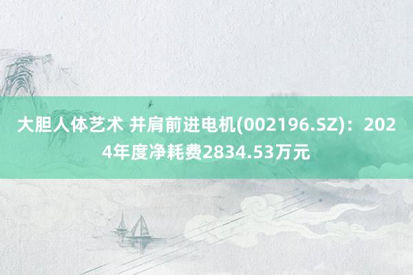 大胆人体艺术 并肩前进电机(002196.SZ)：2024年度净耗费2834.53万元
