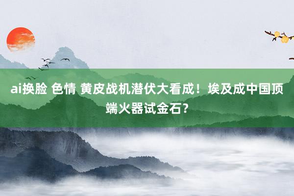 ai换脸 色情 黄皮战机潜伏大看成！埃及成中国顶端火器试金石？