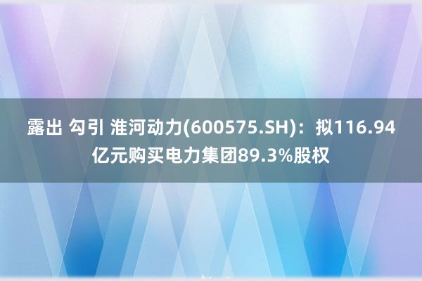 露出 勾引 淮河动力(600575.SH)：拟116.94亿元购买电力集团89.3%股权