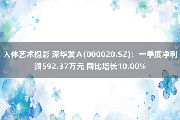 人体艺术摄影 深华发Ａ(000020.SZ)：一季度净利润592.37万元 同比增长10.00%