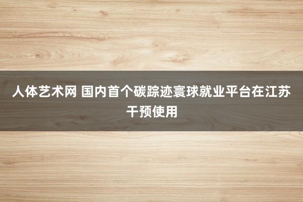 人体艺术网 国内首个碳踪迹寰球就业平台在江苏干预使用